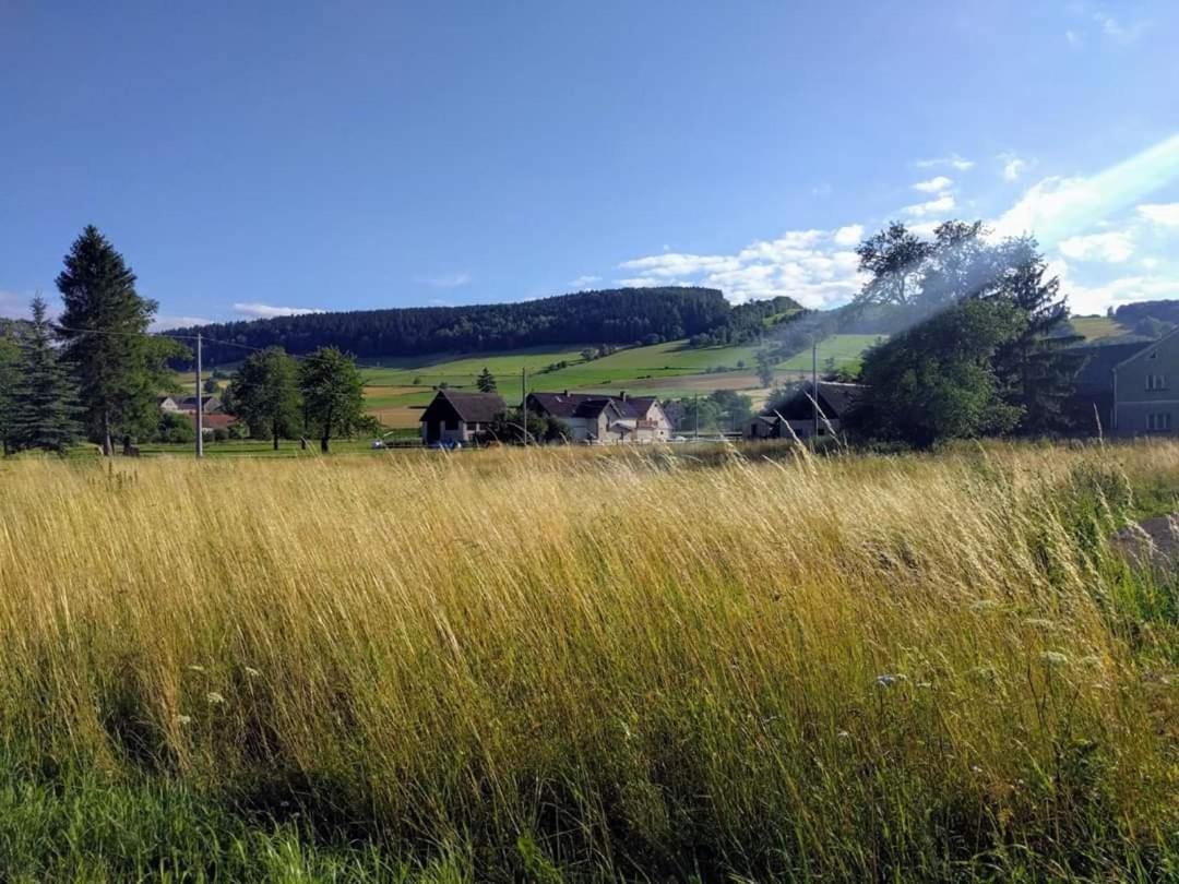 Agroturystyka "U Kasi" Scinawka Gorna 외부 사진