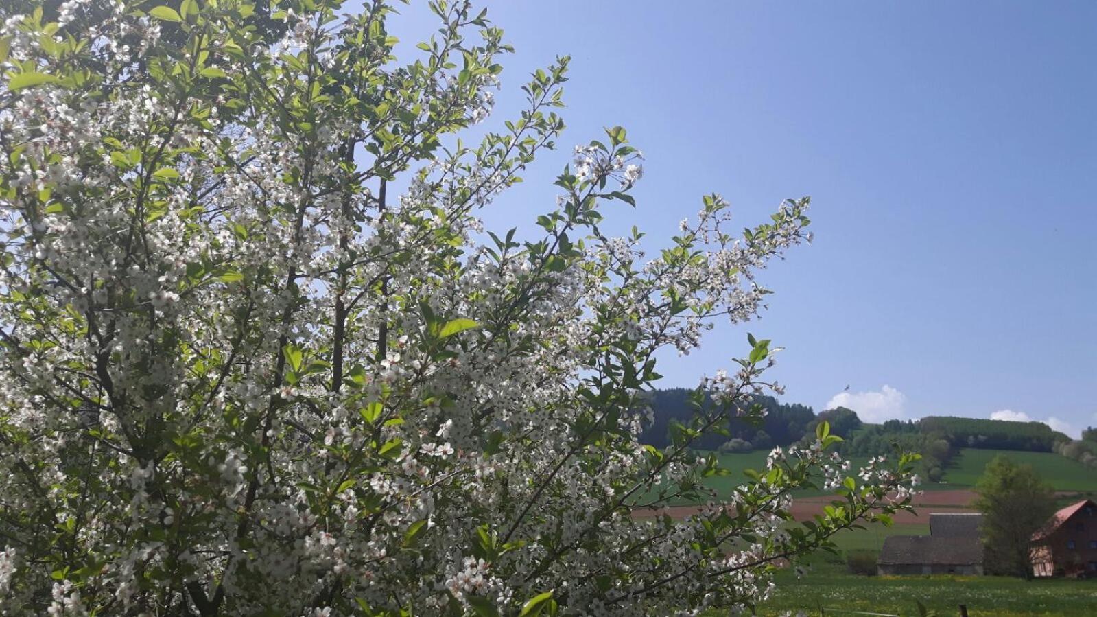 Agroturystyka "U Kasi" Scinawka Gorna 외부 사진