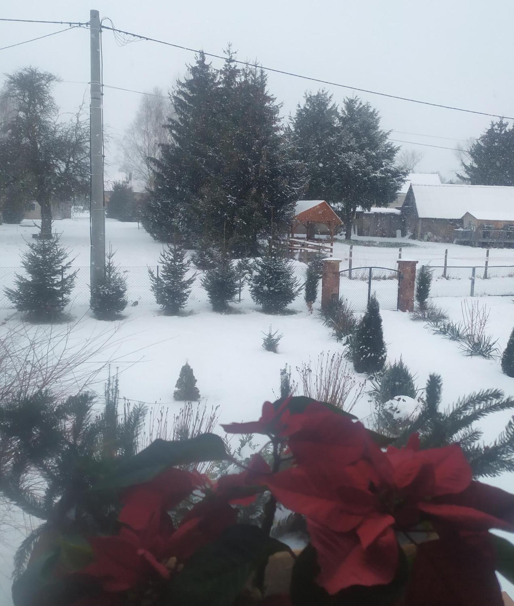 Agroturystyka "U Kasi" Scinawka Gorna 외부 사진